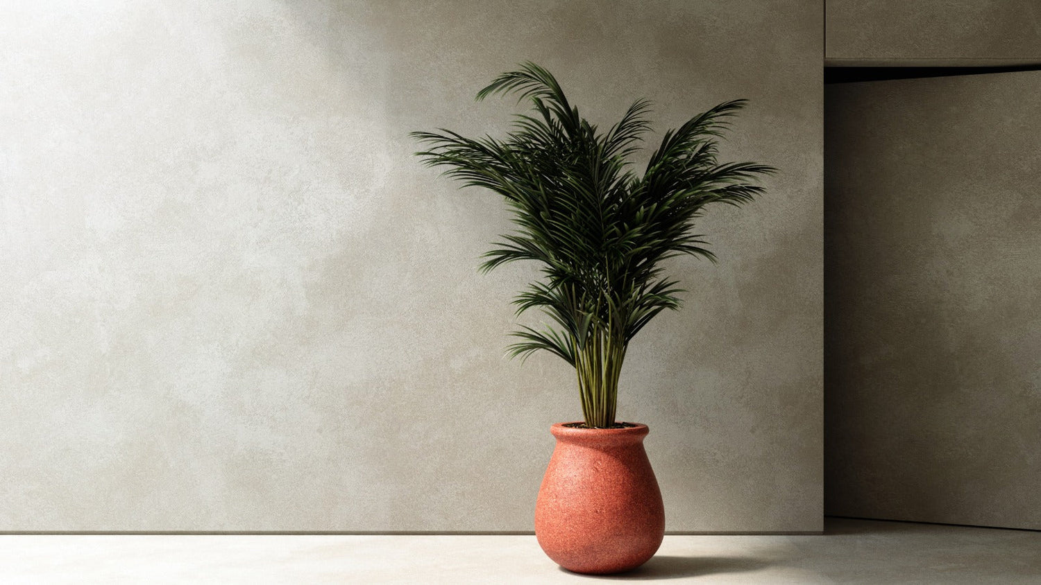 Beton Saksı Modelleri ve Online Sipariş