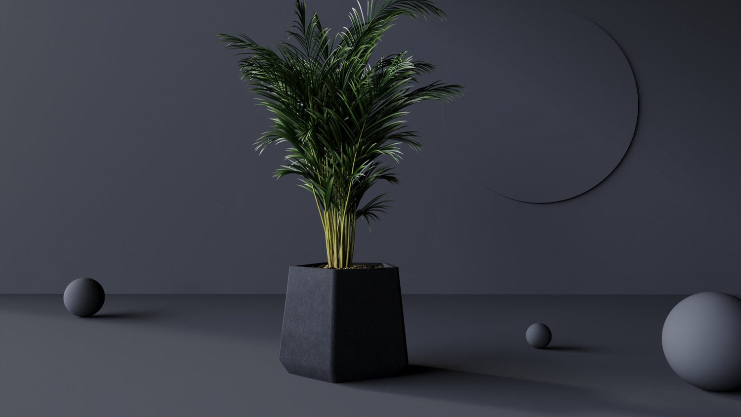 En Ucuz Saksı Modelleri İle Evinizin Havasını Yenileyin