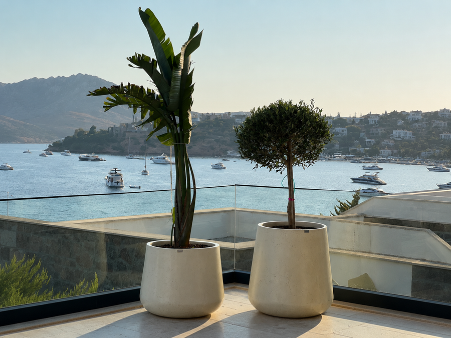 Balkon İçin Doğru Beton Saksı Boyutu Nasıl Seçilir?